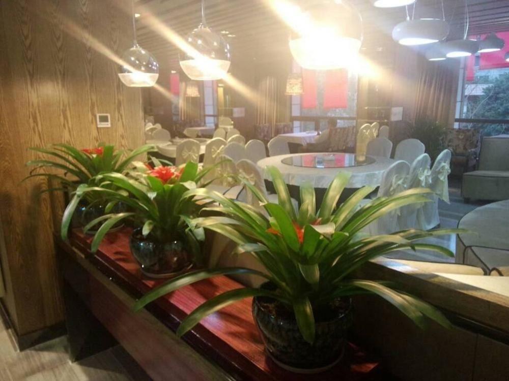 Chengdu Hello Hotel 双流 外观 照片